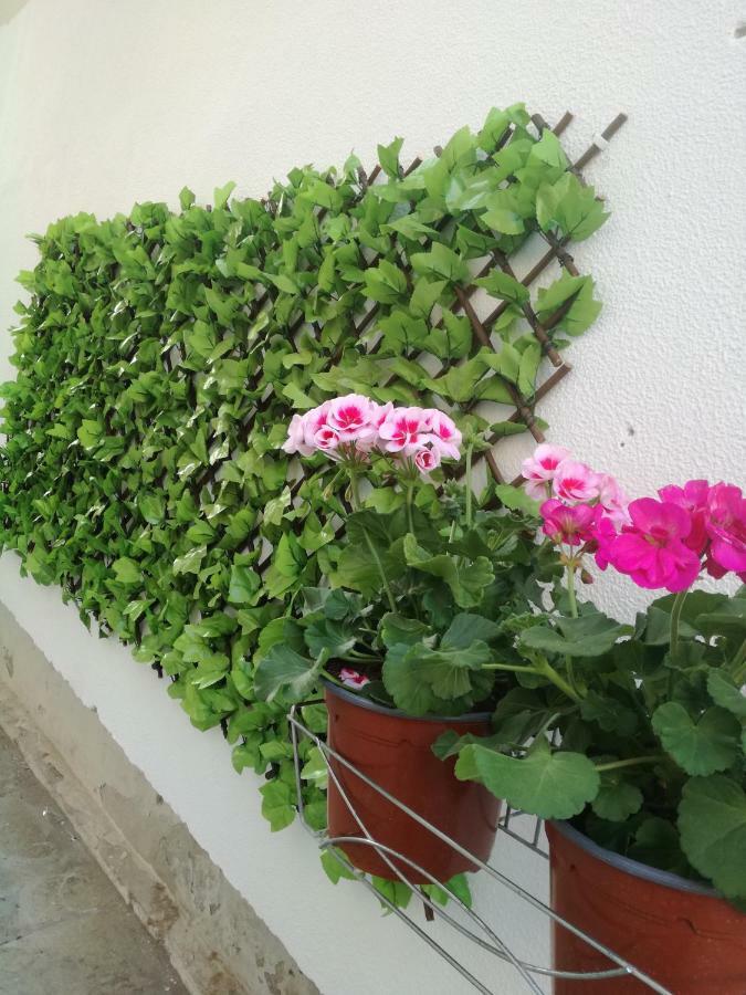 Sofis House Apartment Kavála Exterior photo